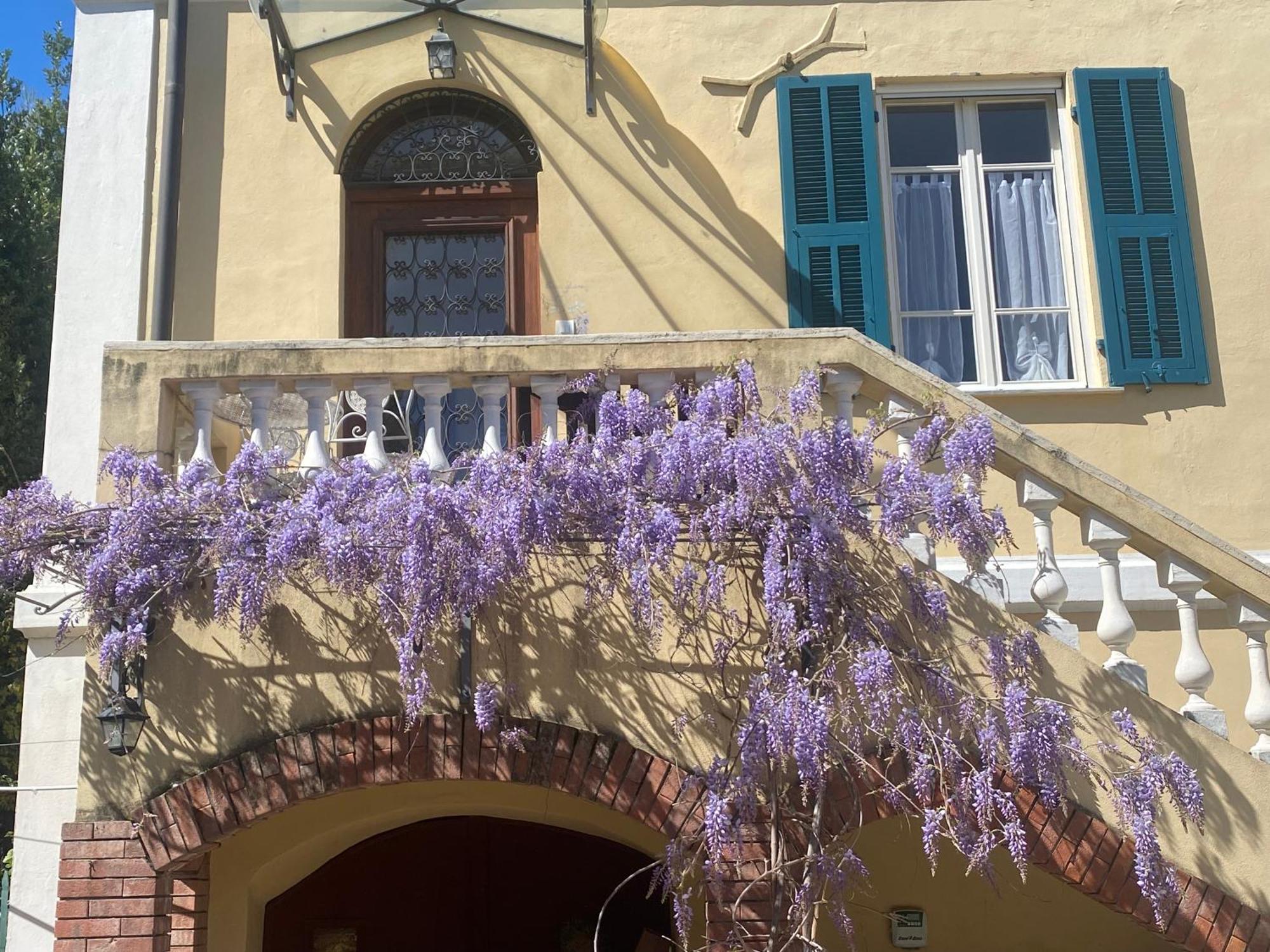 Villa Angelina - Casa Glicine วาลเลโครเซีย ภายนอก รูปภาพ